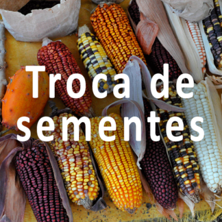 ? Sementes para troca (máx. 5un)
